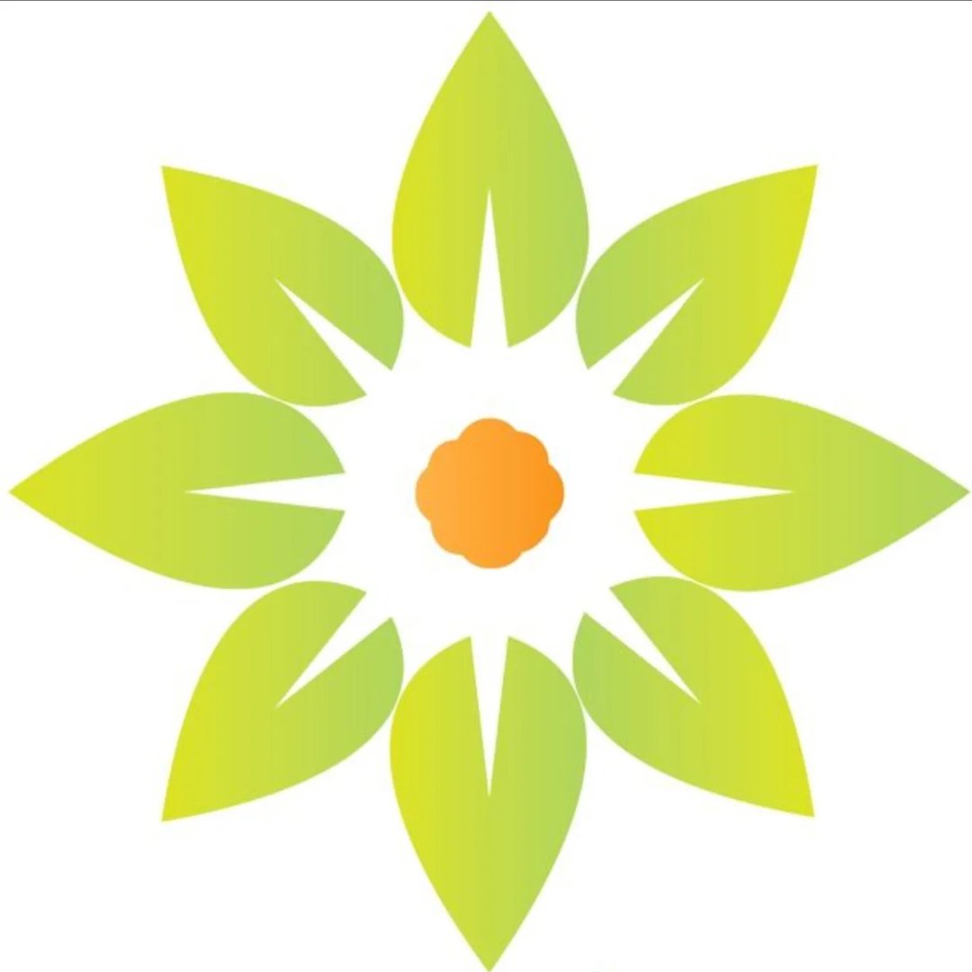Natyral Vita logo